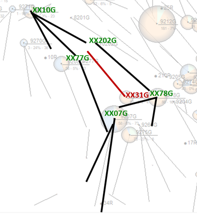 Well layout within the tested zone